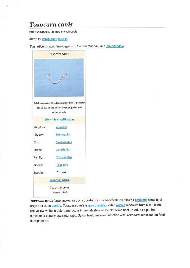 PDF Creator
