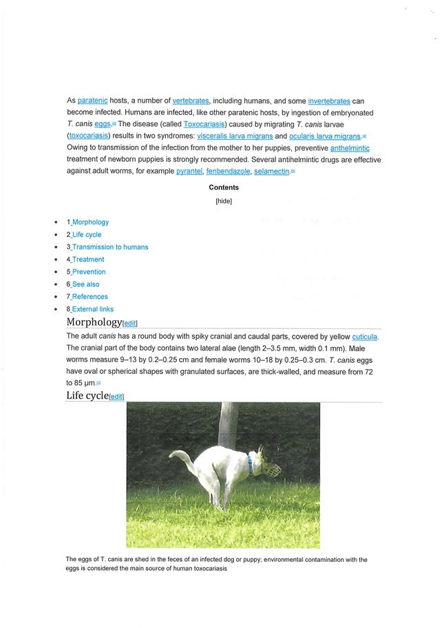 PDF Creator
