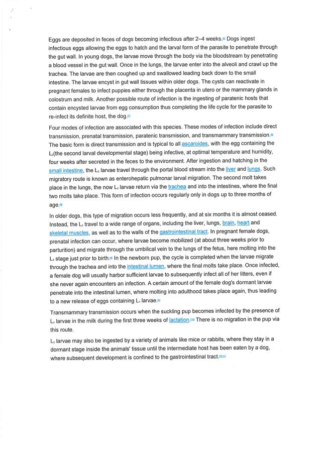 PDF Creator