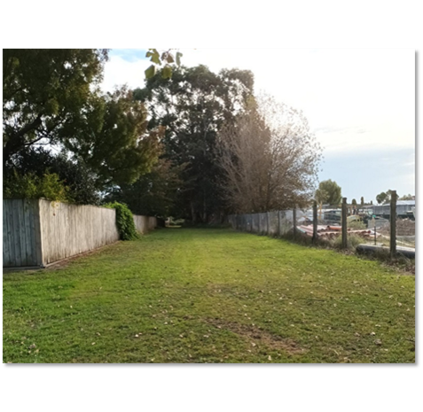 A picture containing tree, outdoor, plant

Description automatically generated