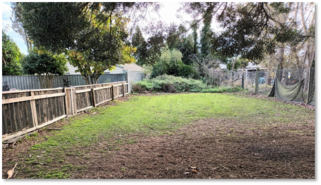 A picture containing tree, outdoor, grass, plant

Description automatically generated