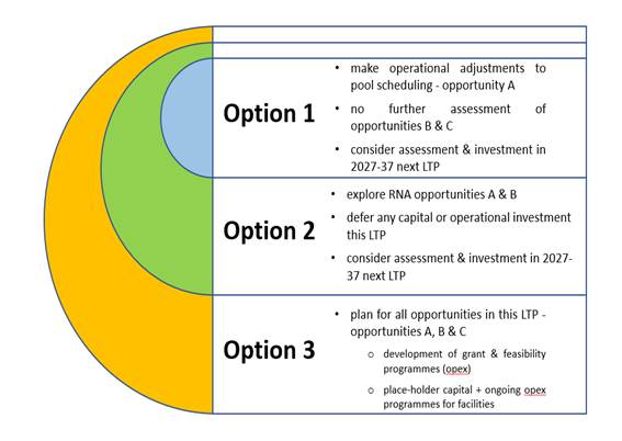A diagram of options with text
Description automatically generated