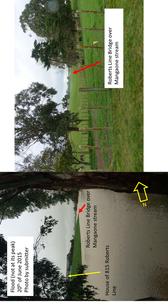 A tree in a field

Description automatically generated