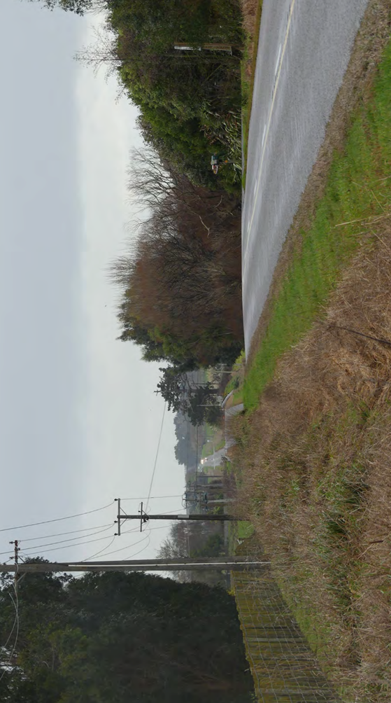 A road with power lines and trees

Description automatically generated