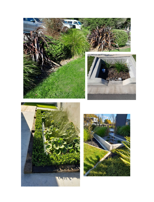 A collage of a garden

Description automatically generated